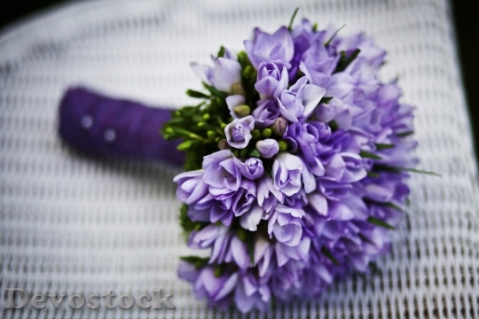 Devostock Marriage Flower Purple Flowers Royalty Free 6771 4K.jpeg