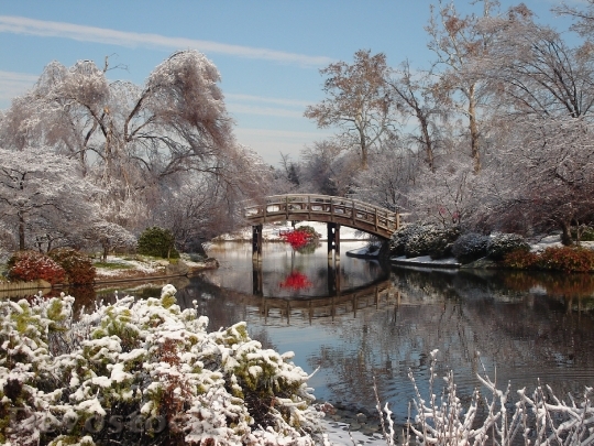 Devostock Bridge Winter LandscapeSnow 4K