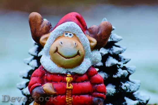 Devostock Christmas Moose Christmas Fesival 4K