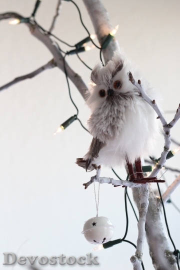 Devostock Christmas Tree Owl hite 4K