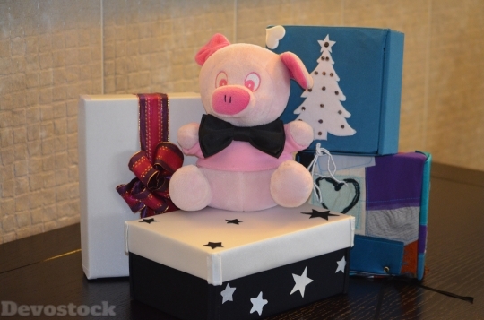 Devostock Gift Box PiggyCute 4K