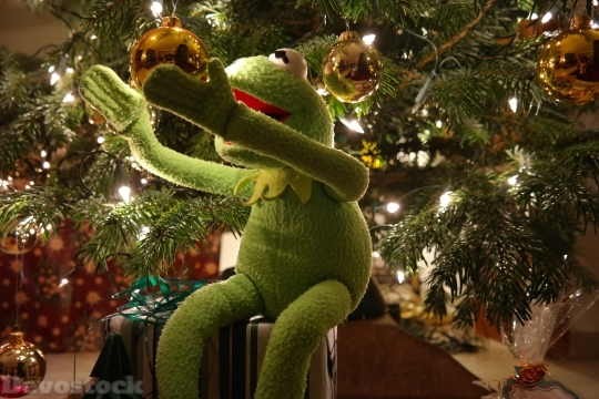 Devostock Kermit Frog Green Chritmas 4K