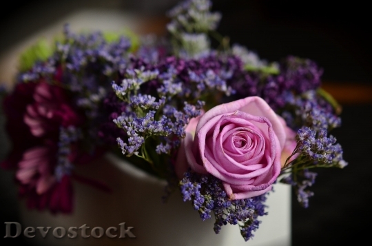 Devostock Rose Pink Floral Arrangement Bouquet 10444 4K.jpeg