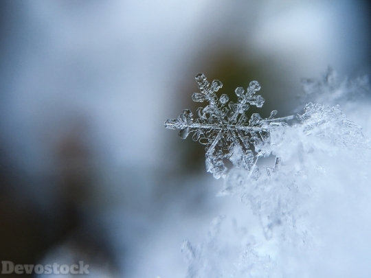 Devostock Snowflake Snow CrystalSnow 4K