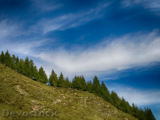Devostock Wood Landscape Clouds 75192 4K