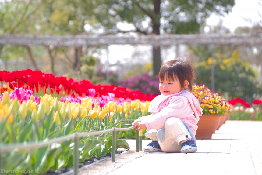Devostock Baby Sitting Outdoor Colorful Flowers Roses Spring 4k