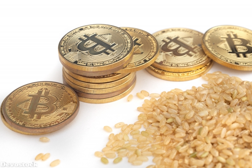 Devostock Bit Coin Brown Rice Economy Sustainability 4k