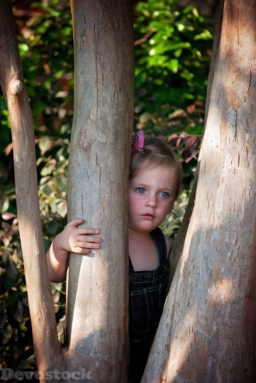 Devostock Girl Looking Tree Toddler 4K