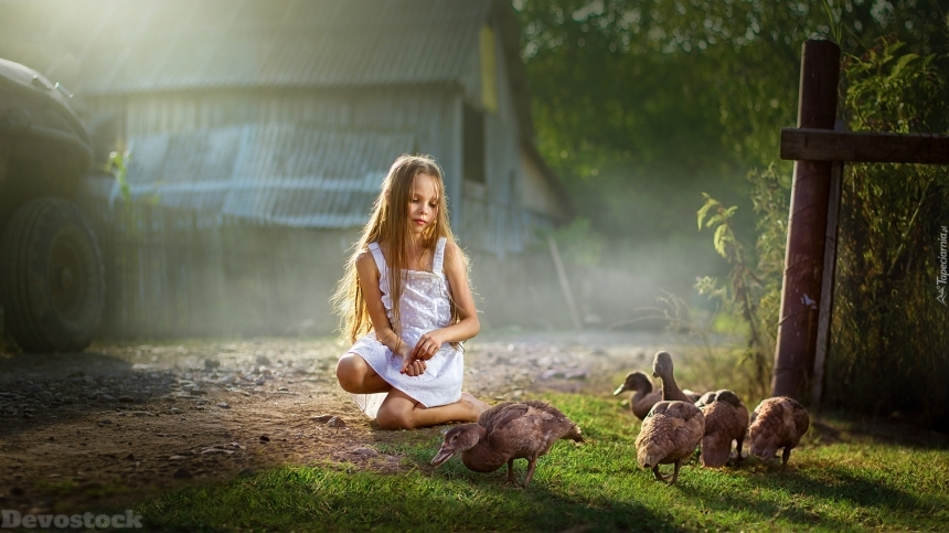 Devostock Nature Little Girl Feeding Ducks Shadow Tree Forest 4k