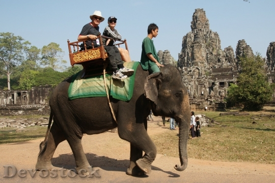 Devostock cambodia-elephant-f2428391