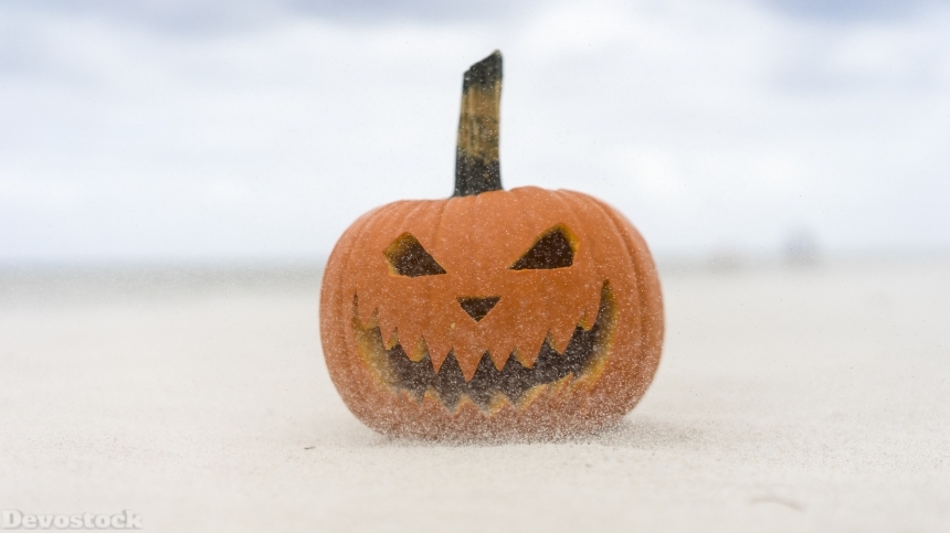 Devostock Halloween Celebration pumpkin stock images collection