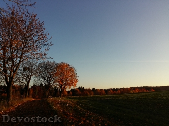 Devostock Autumn Nature Landscape Seasons
