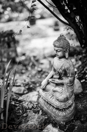 Devostock Buddha Statue Calm Zen