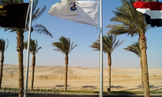 Devostock Egypt Sand Desert Flag