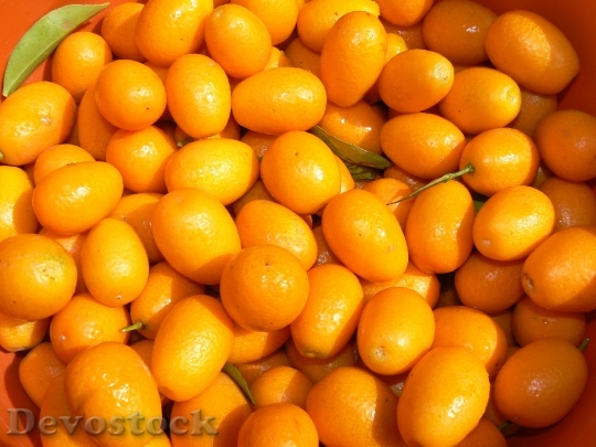Devostock Kinotos Fruit Citrus Mature