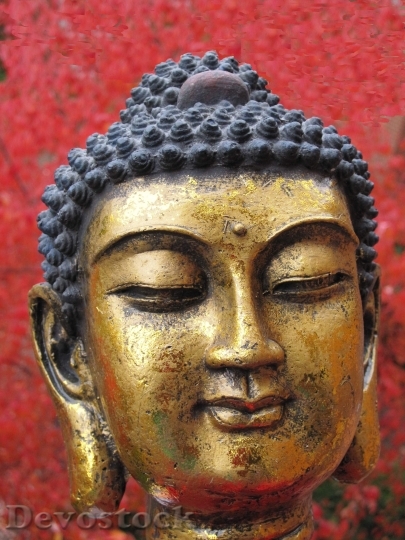 Devostock Siddhartha Gautama Buddha Head