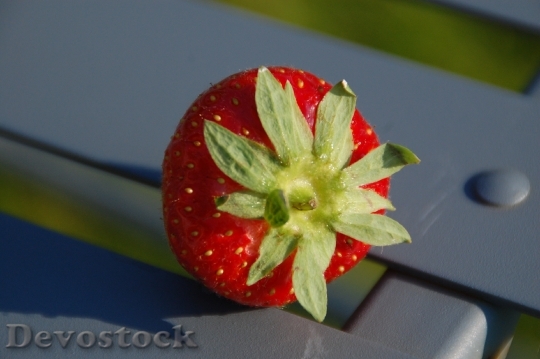 Devostock Strawberry Fruit Flavor 116988