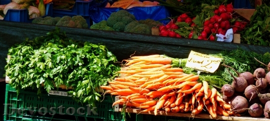 Devostock Vegetables Carrots Salad Radishes
