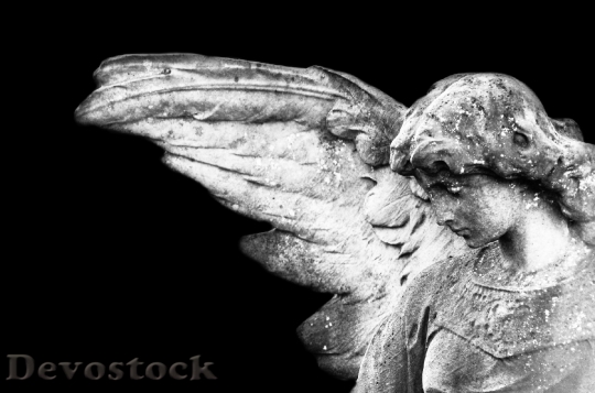 Devostock Angel Angelic Background Black