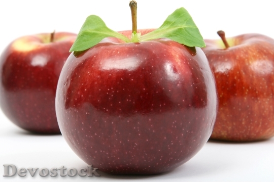 Devostock Appetite Apple Calories Catering 15