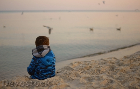 Devostock Child Birds Sea Loneliness