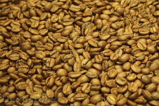 Devostock Coffee Bean Roasting 472652