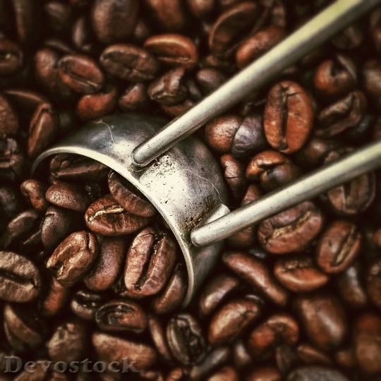 Devostock Coffee Beans Beverages Roasting