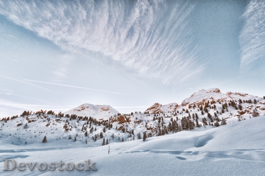 Devostock Cold Snow Landscape 10065