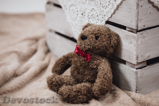 Devostock Cute Teddy Bear Toy 2414