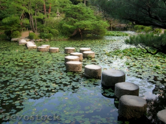 Devostock Japanese Garden Kyoto Japan