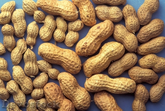Devostock Peanuts Agriculture Food Raw