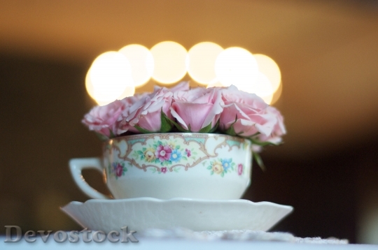 Devostock Wedding Tea Cup Flower