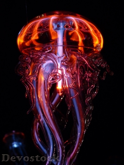 Devostock Animal Underwater Jellyfish 6726 4K
