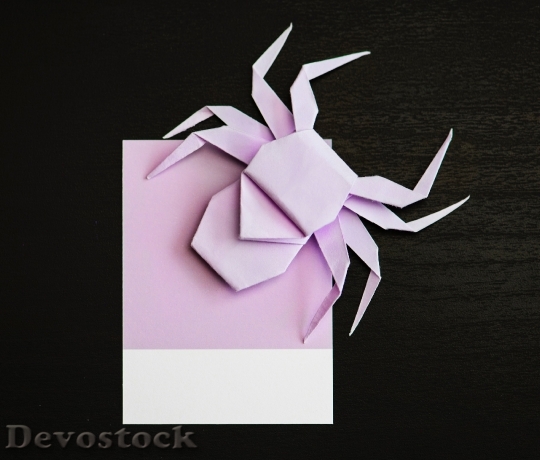 Devostock Art Purple Animal 105660 4K