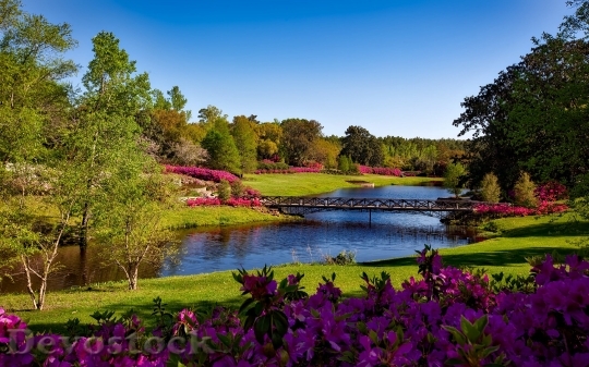 Devostock Bellingrath Gardens Alabama Landscape Scenic 15863 4K.jpeg