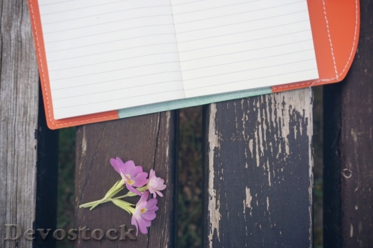 Devostock Bench Flower Notebook Pen 16368 4K.jpeg