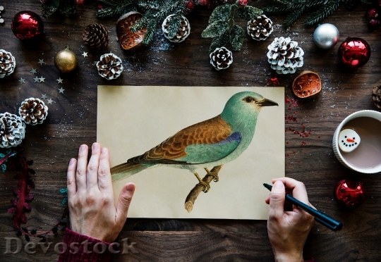 Devostock Bird Hands Art 89176 4K