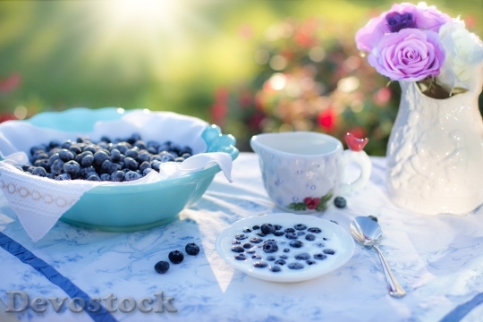 Devostock Blueberries Cream Dessert Breakfast 16204 4K.jpeg