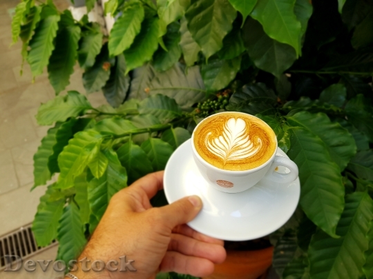 Devostock Caffeine Coffee Cup 94877 4K