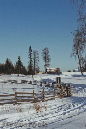 Devostock Cold Snow Landscape 93024 4K