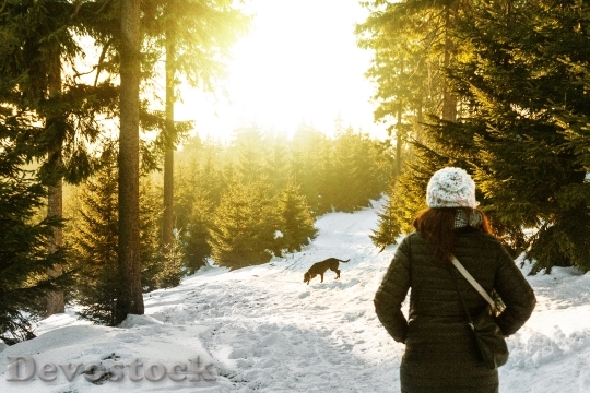 Devostock Cold Snow Landscape Girl Backside Dog 4K
