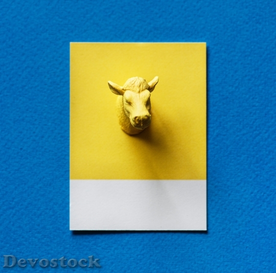 Devostock Creative Blue Yellow 126874 4K