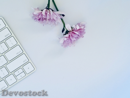 Devostock Creative Flowers Desk 111993 4K