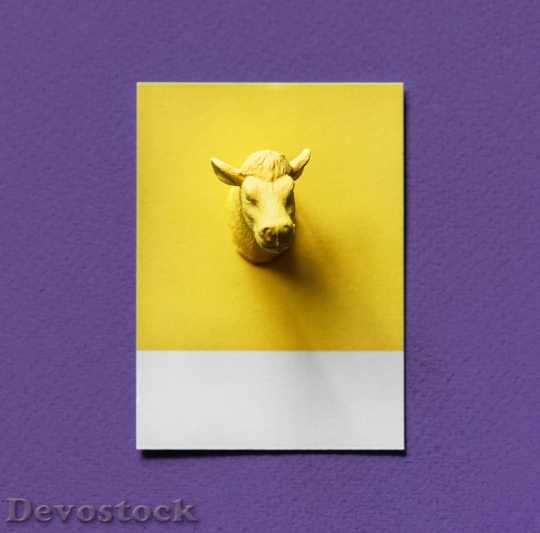 Devostock Creative Yellow Animal 124646 4K