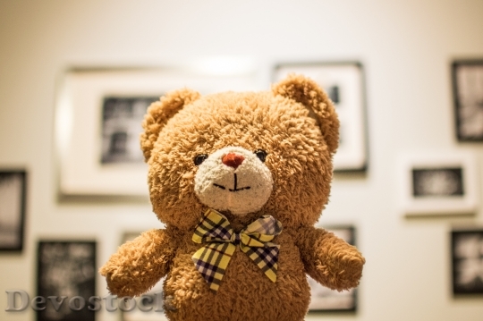 Devostock Cute Bear Teddy Bear 70874 4K