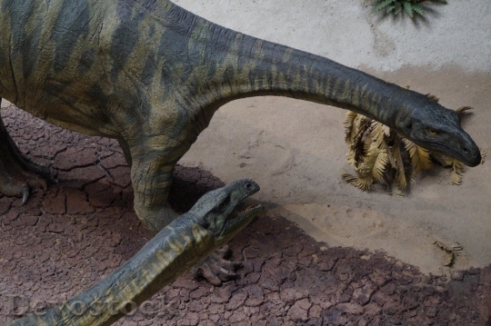 Devostock Dino Dinosaur Evolution Exhibit HD
