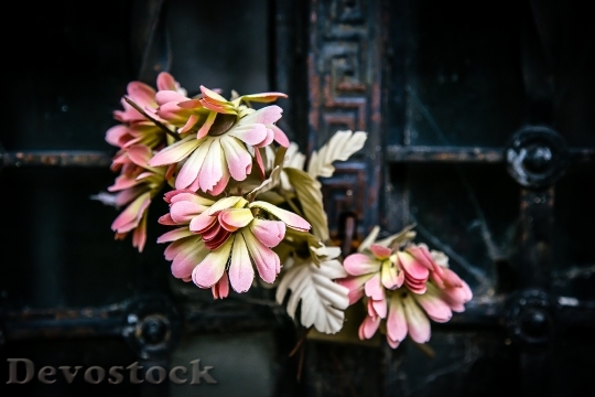 Devostock Flowers Blur Rustic 59642 4K