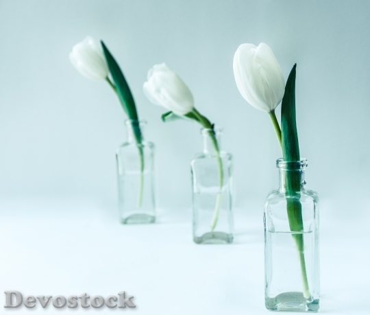 Devostock Flowers Bottles Petals 91533 4K