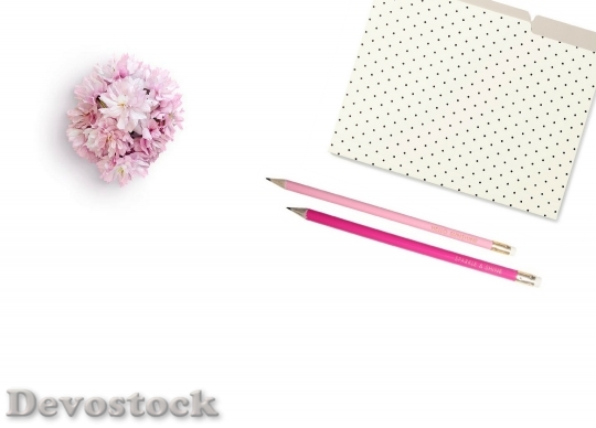 Devostock Flowers Colors Pink 90424 4K