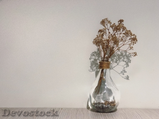 Devostock Flowers Dry Glass 86304 4K